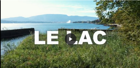 Vidéo sur la renaturation des rives du lac à Genève.