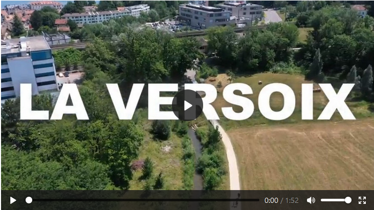 Champ avec chemin et maisons en arrière-plan, vidéo sur la renaturation d'une rivière à Versoix.