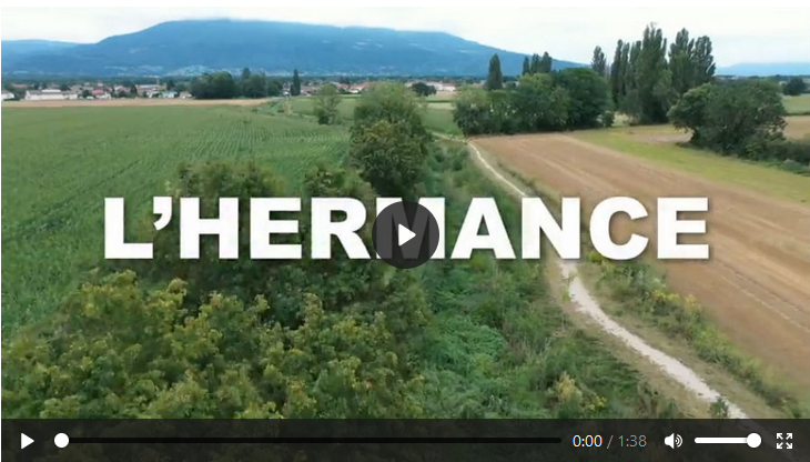 Champ avec chemin, vidéo sur la renaturation des cours d'eau et des berges à Genève : la localité d'Hermance.