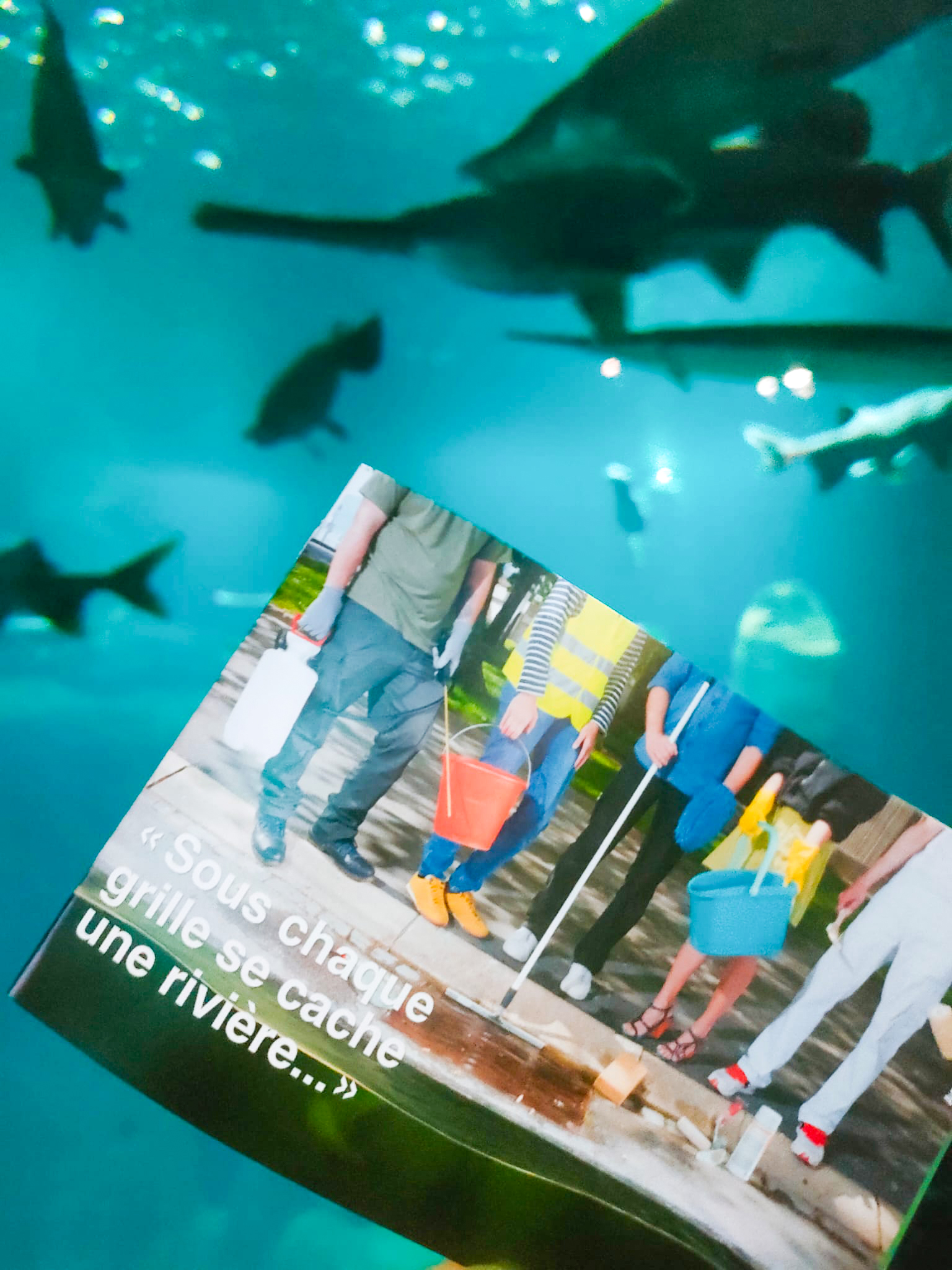Eine Person hält eine Karte mit französischem Text vor einem Aquarienbecken, in dem mehrere Fische schwimmen. Die Karte zeigt Menschen, die mit Eimern und Werkzeugen stehen.